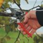 Felco F8 Ergonomic Shape Pruner – Felco – 8.3″